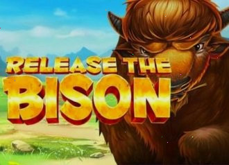 Bison